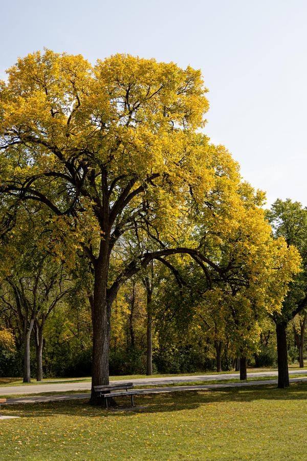 IMG_9000.jpg (210 KB)